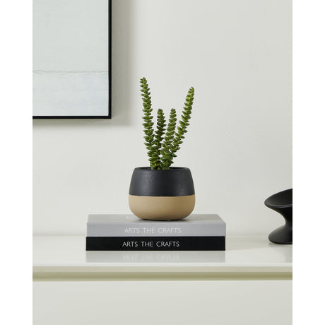 Yulara Artificial Succulent - Beige, Green & Black